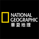 記者：米蘭會嚐試簽下貢薩洛
